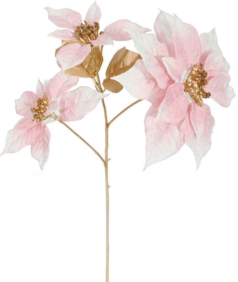 COMING SOON - EGYPTIAN POINSETTIA STEM