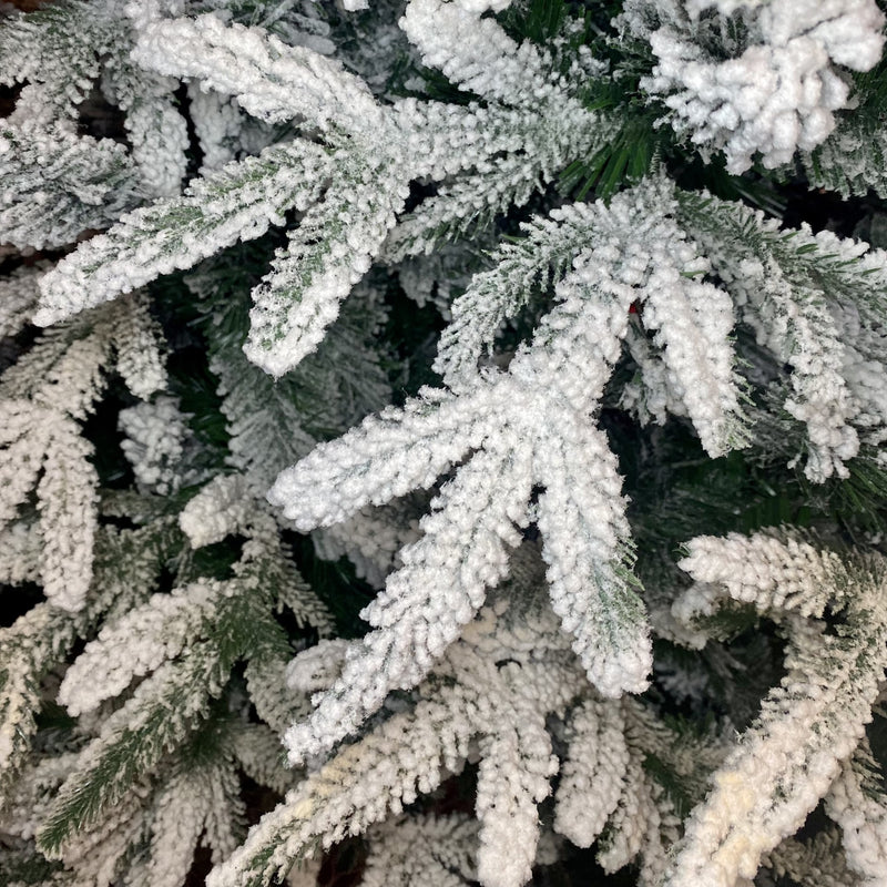 FLOCKED ARCTIC SPRUCE TREE