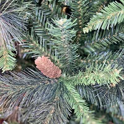 MOUNTAIN PINE TREE