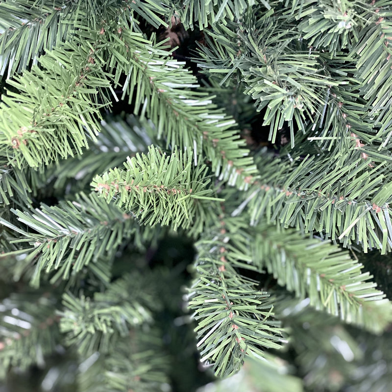 YORKSHIRE PINE TREE - 10FT IS ON SALE