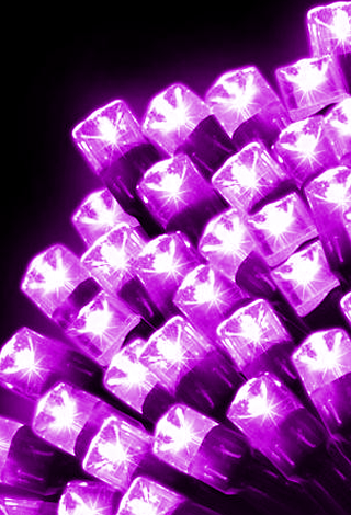 160pc PURPLE LED LIGHTS ON GREEN WIRE