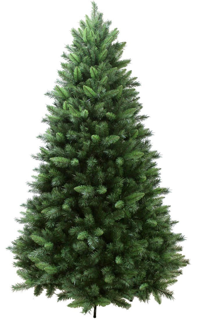 YORKSHIRE PINE TREE - 10FT IS ON SALE